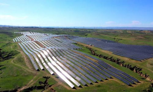 农作物种子经营 国内政策优化与市场发展新趋势