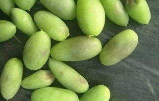 植保科技助力农业发展，特色产业推动乡村振兴