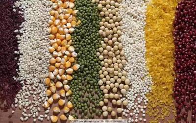 三大粮食作物制种纳入中央财政补贴目录 为种业发展注入“保险”动能