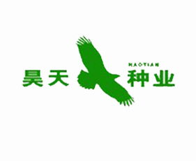 梨树县农科所的种子创新之路